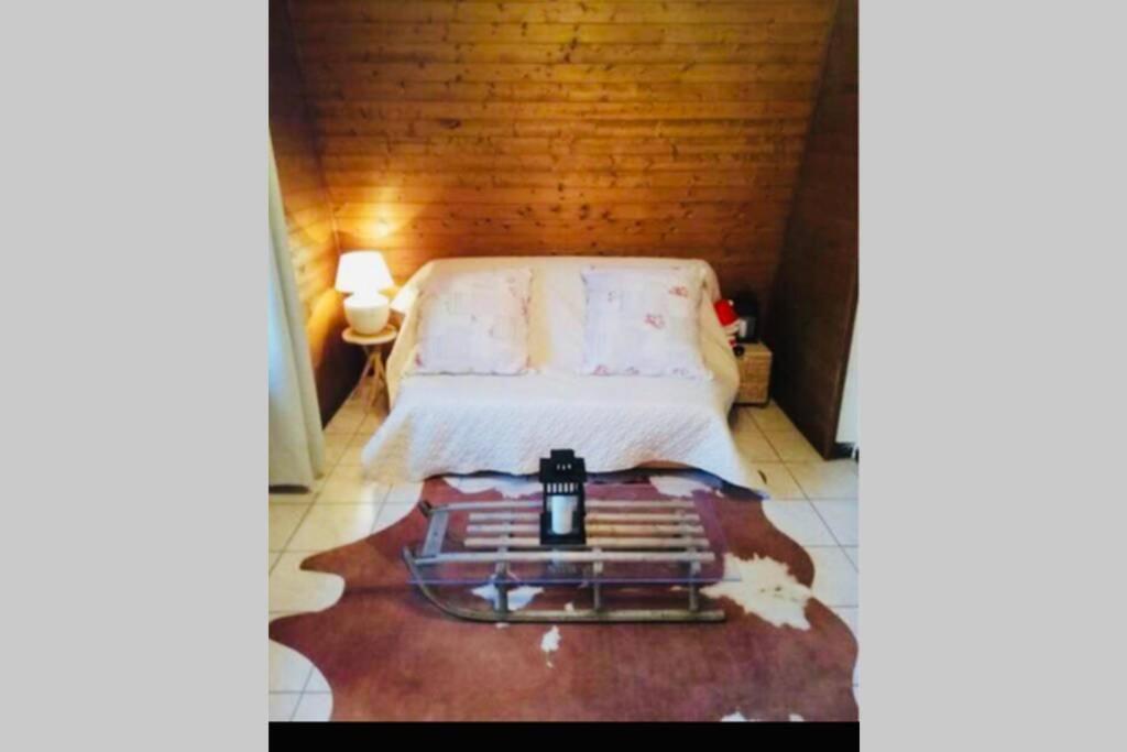 Superbe Appartement Au Centre De Samoëns Dış mekan fotoğraf